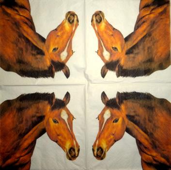 094 Horses - 3-ply - Dommos